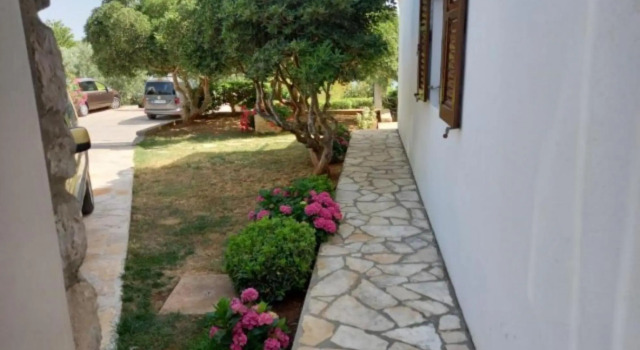 Blazenka - 20m From the sea - A1, Rezerwuj Apartament Tkon Pasman Island