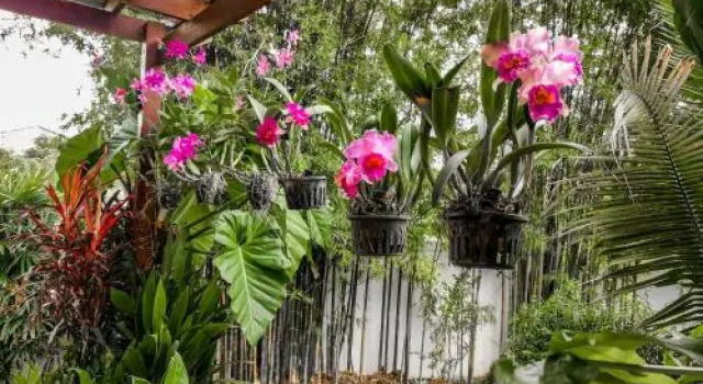 Villa Volpi Bed & Breakfast(วิลลา วอลปี บีแอนด์บี), Rezervovat Vila Hotely v Central Thailand s parkováním, Parkování