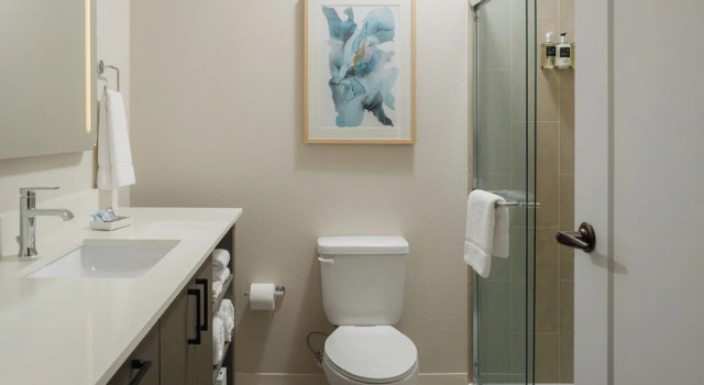 Люкс с балконом WaterWalk Extended Stay by Wyndham Jacksonville Deerwood Pk