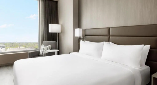 Номер Standard AC Hotel by Marriott Bethesda Downtown