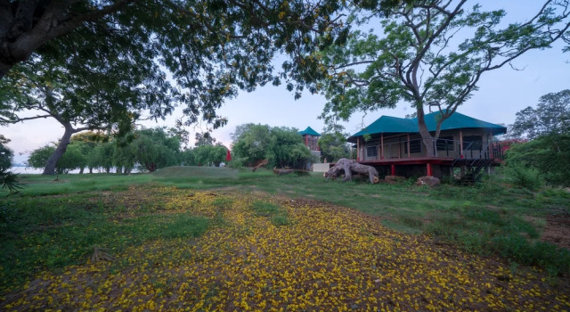 Люкс Luxury Flameback Eco Lodge