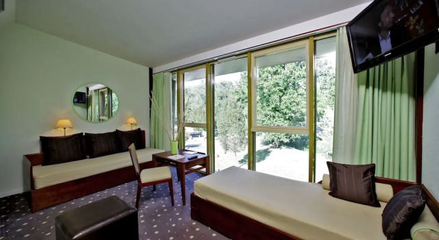 Люкс Logis des Lacs dHalco