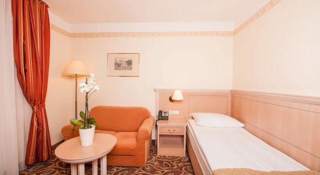 Одноместный номер Superior Grand Hotel Sava Superior