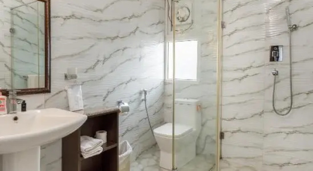 Двухместный номер Deluxe Shaligram Hotel
