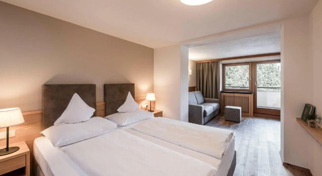Номер Standard Hotel Steger-Dellai