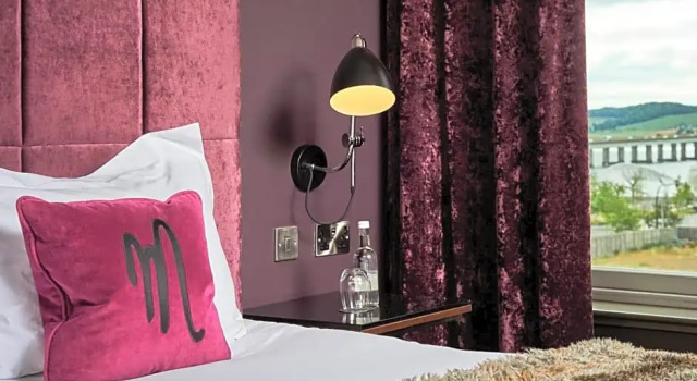 Клубный номер Standard Malmaison Dundee