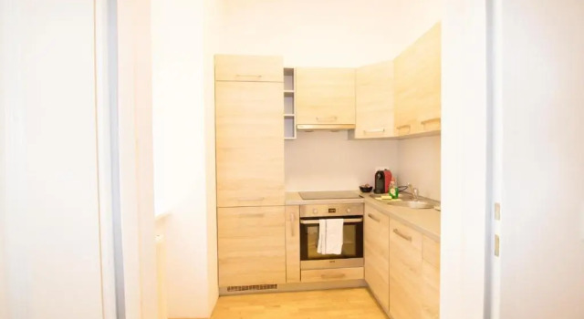 Апартаменты Studio-Apartment between Schoenbrunn & the City Center (09)