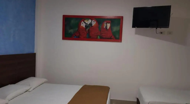 Camera Standard Zafara Hotel