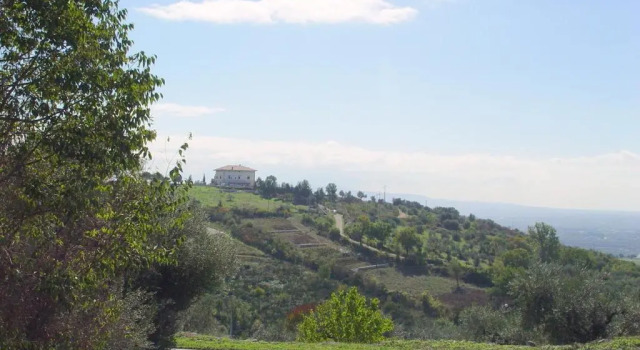 Номер Standard Villa Dei Romani - Country House