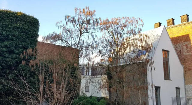 Апартаменты Light House Lodge. Apartment in Center of Antwerp