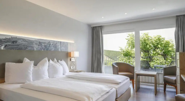 Двухместный номер Comfort Hotel Rebenhof