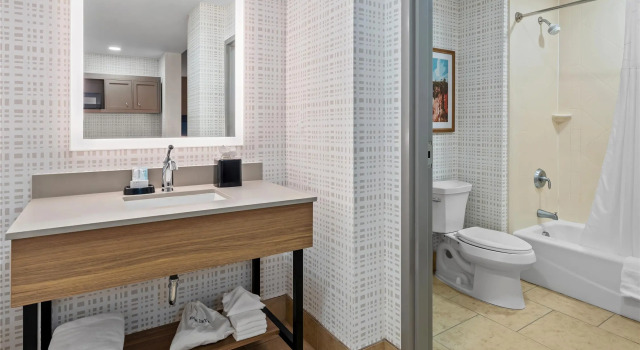 Люкс Hampton Inn & Suites Tifton