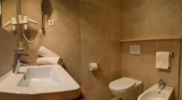 Номер Standard Hotel Trenker