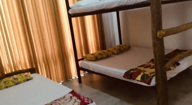 Трёхместный номер Deluxe Jungle city Hostel