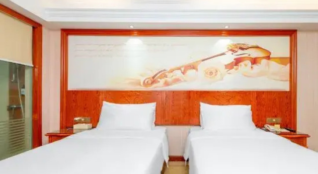 Двухместный номер Standard Vienna Hotel Longchuan