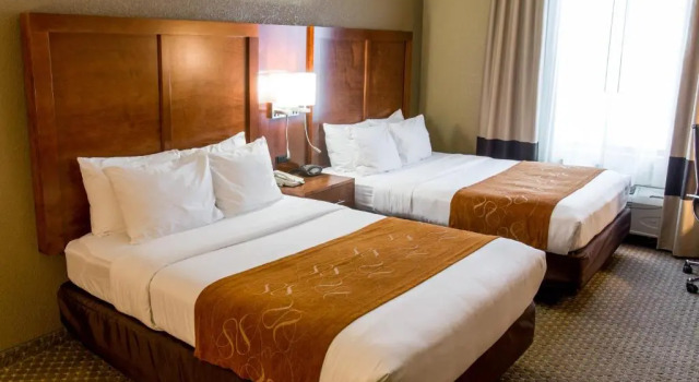Четырёхместный номер Standard Comfort Suites Grand Rapids South