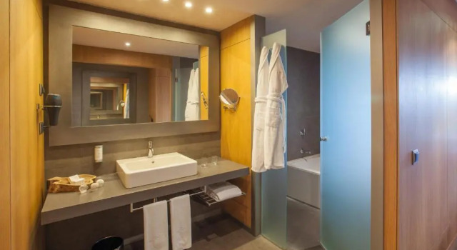 Двухместный номер Pool Deluxe Lopesan Baobab Resort