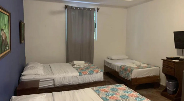 Номер Standard La Posada Jungle Hotel