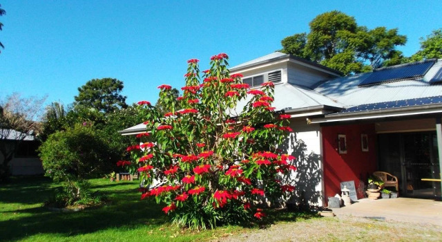 The Watertank Bed and Breakfast, Брондау Қонақ үй Moorland Northern Rivers