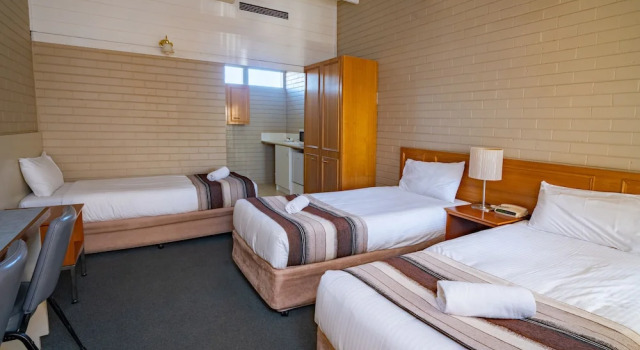 Семейный номер Standard Parkview Motor Inn