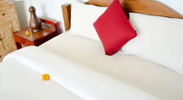 Номер Standard Alam Bali Beach Resort