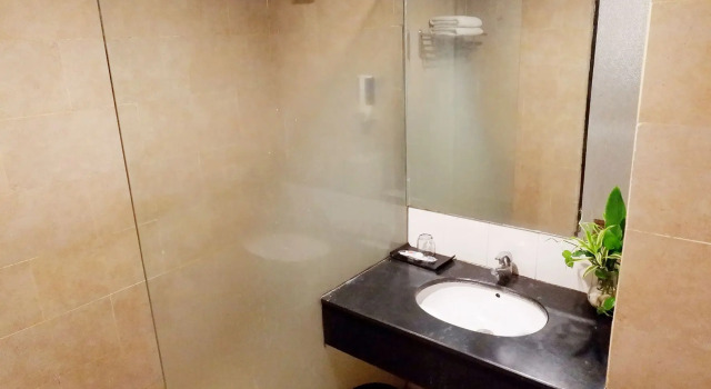 Camera Superior Delta Sinar Mayang Hotel