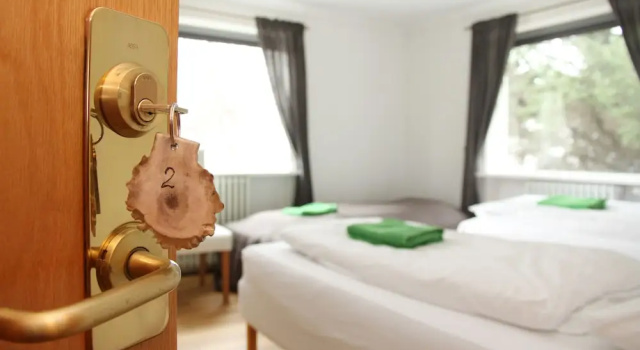Номер Standard Olga Guesthouse