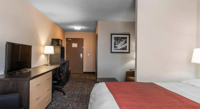 Номер Standard Quality Inn & Suites Kingston