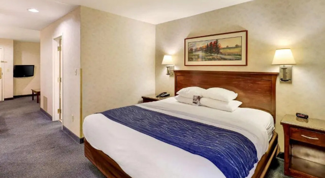 Люкс Comfort Inn Bellingham