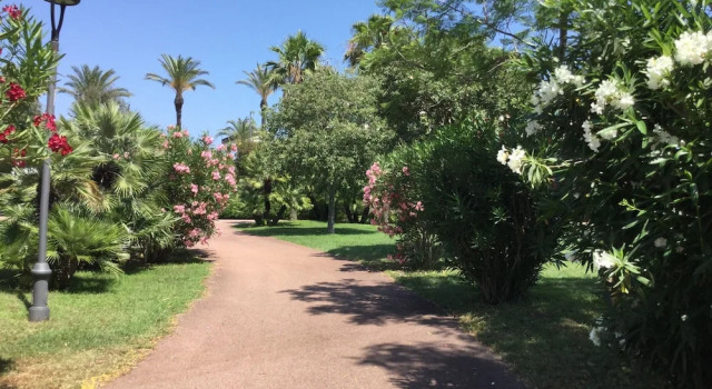 Двухместный номер Standard Hotel Martini Olbia