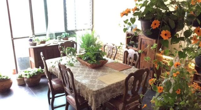 Casa Bonita, Book Hotel Hotels in Jalisco with a Pool, Swimming Pool