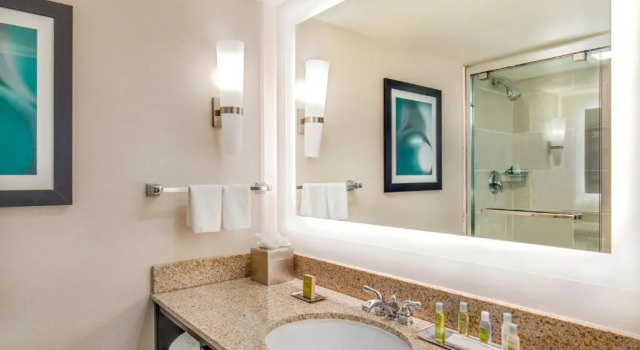 Люкс DoubleTree by Hilton Columbia