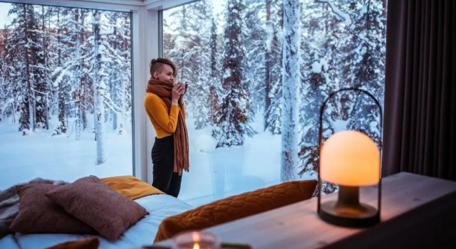 Двухместный номер Standard Arctic Skylight Lodge