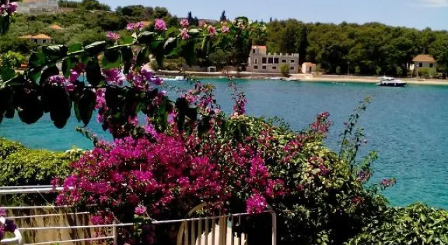 Apartment Zora, Забронировать Апартаменты/квартира Нечуям Solta Island, рядом с Пляж у Бухты Ливка