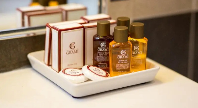 Номер Standard Grami Hotel Sofia