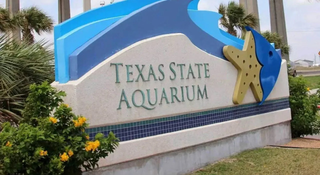 Corpus Christi Condo w/ Pool Access, Walk to Beach