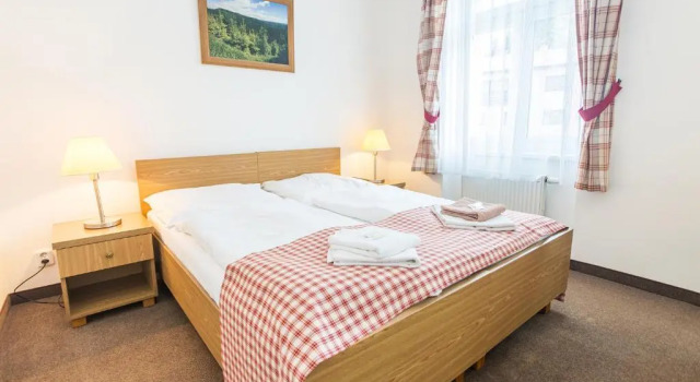 Трёхместный номер Standard Hotel Seifert