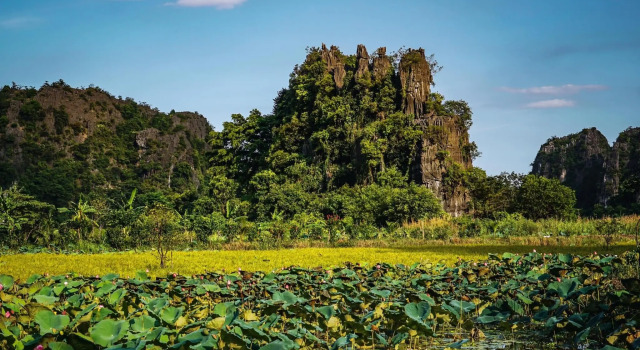 Cocoon Homestay Tam Coc