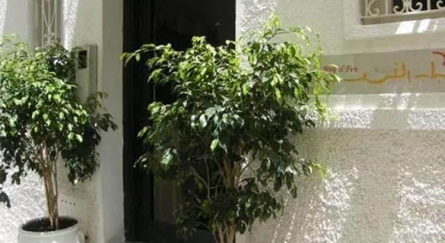 Bab El Fen