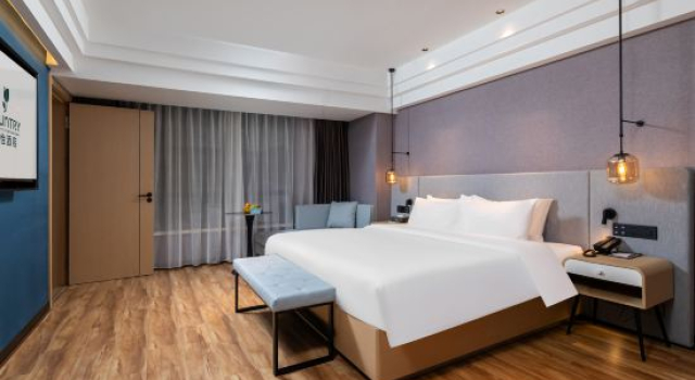 Люкс Deluxe Country Inn & Suites by Radisson, Shenyang North Railway Station Huigong Square