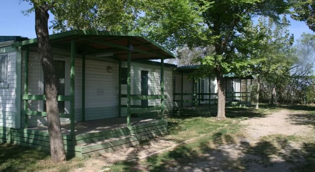 Номер Standard Las Fallas Camping