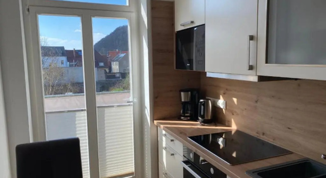 Апартаменты Apartmenthaus Zentral Bad Schandau
