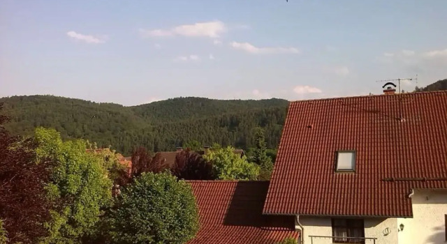 Апартаменты Holiday Apartment Hochgrebe "heidi"
