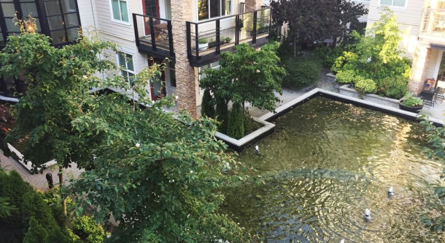Luxury two bedroom apartment at UBC, Book Apartment Ladner British Columbia