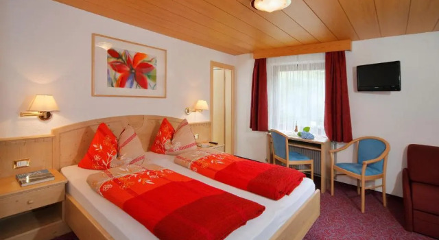 Двухместный номер Standard с балконом Alpshotel Bergland