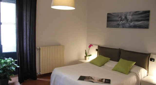 Standard Zimmer Lizard Hotel