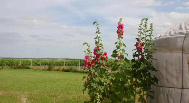 Yourtes Charentaises, Rezervasyon Otel Salignac-sur-Charente oteller ve konaklama yerleri, Otel