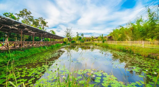 Люкс de Bintan Villa