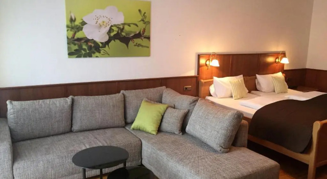 Номер Standard Hotel Waldgasthof Schöning