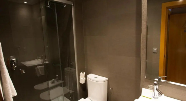 Одноместный номер Standard Apartamentos Jauregui